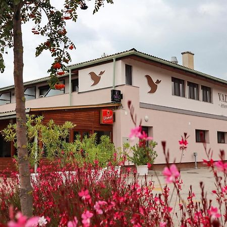 Vadkacsa Panzio Bed & Breakfast Balatonkenese Exterior photo